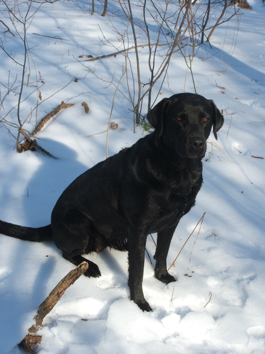 abby
