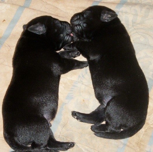 kissing