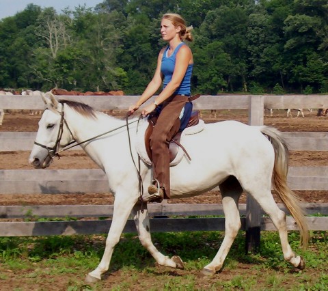 shawnee