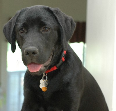 zoey