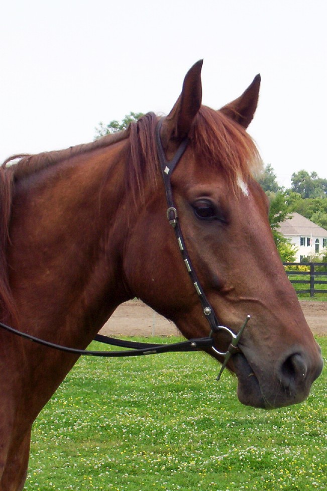 romeo